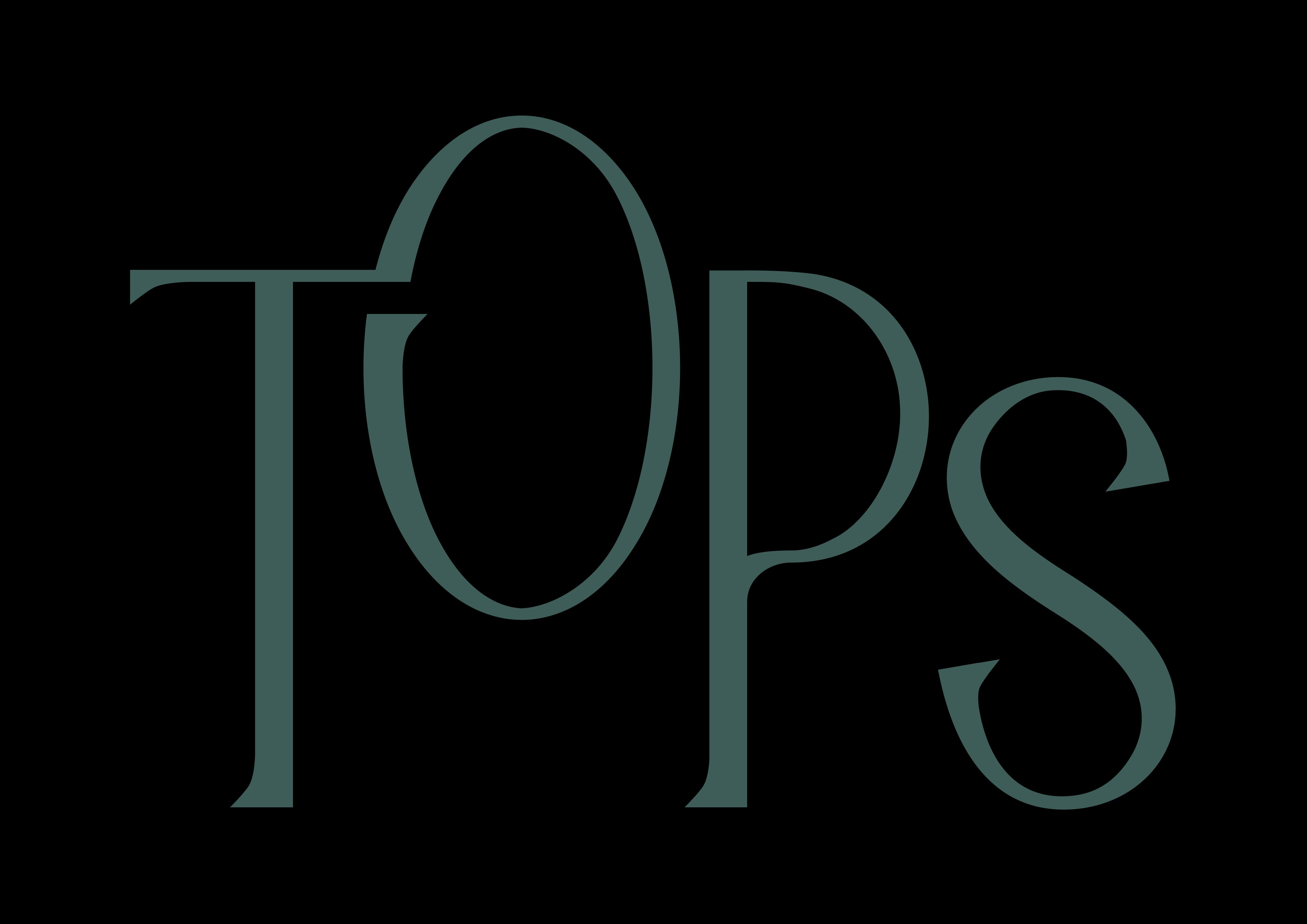 세부 톱스 전망대 전경