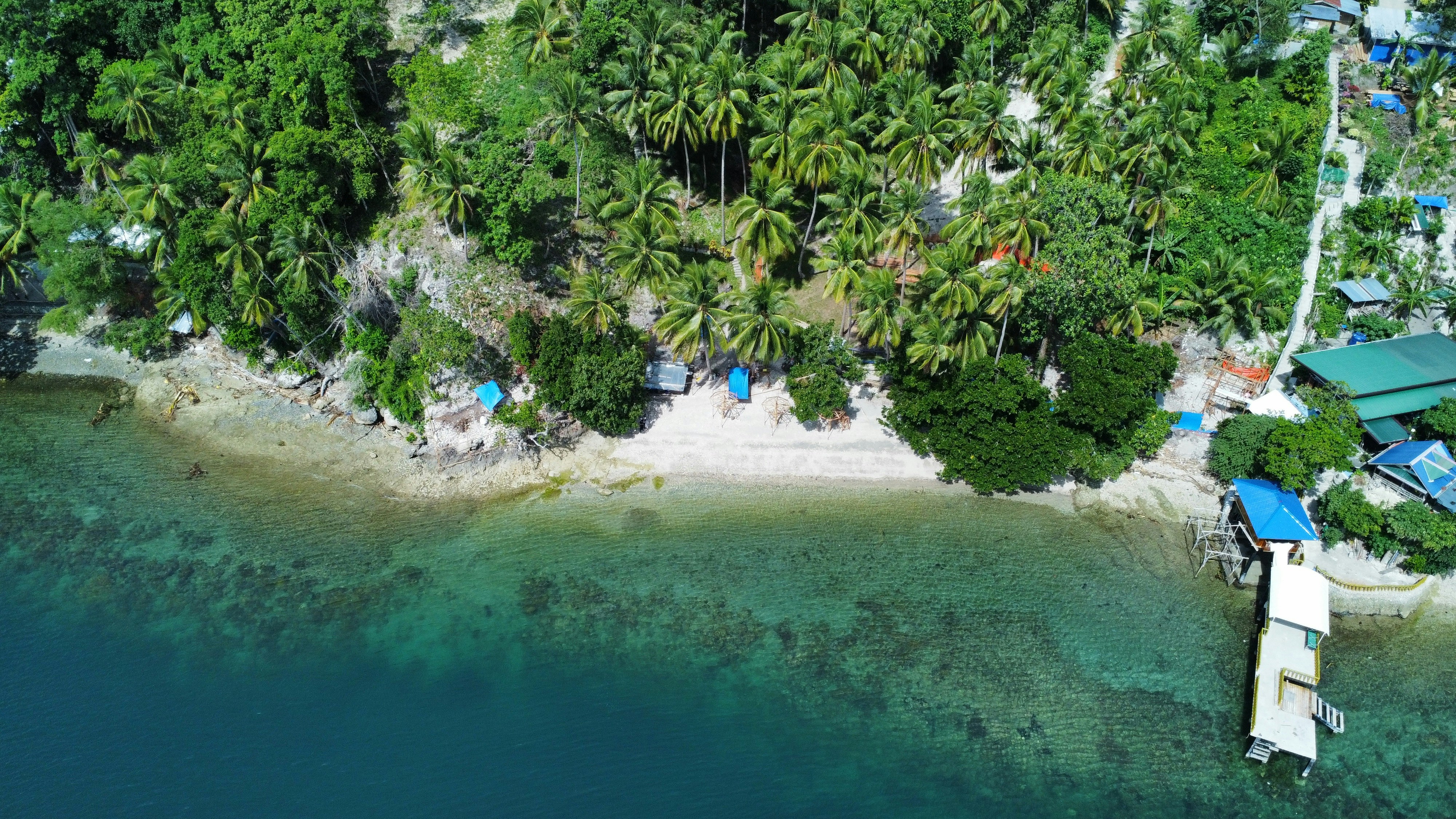 사말 섬 해변과 야자수(리조트 느낌)