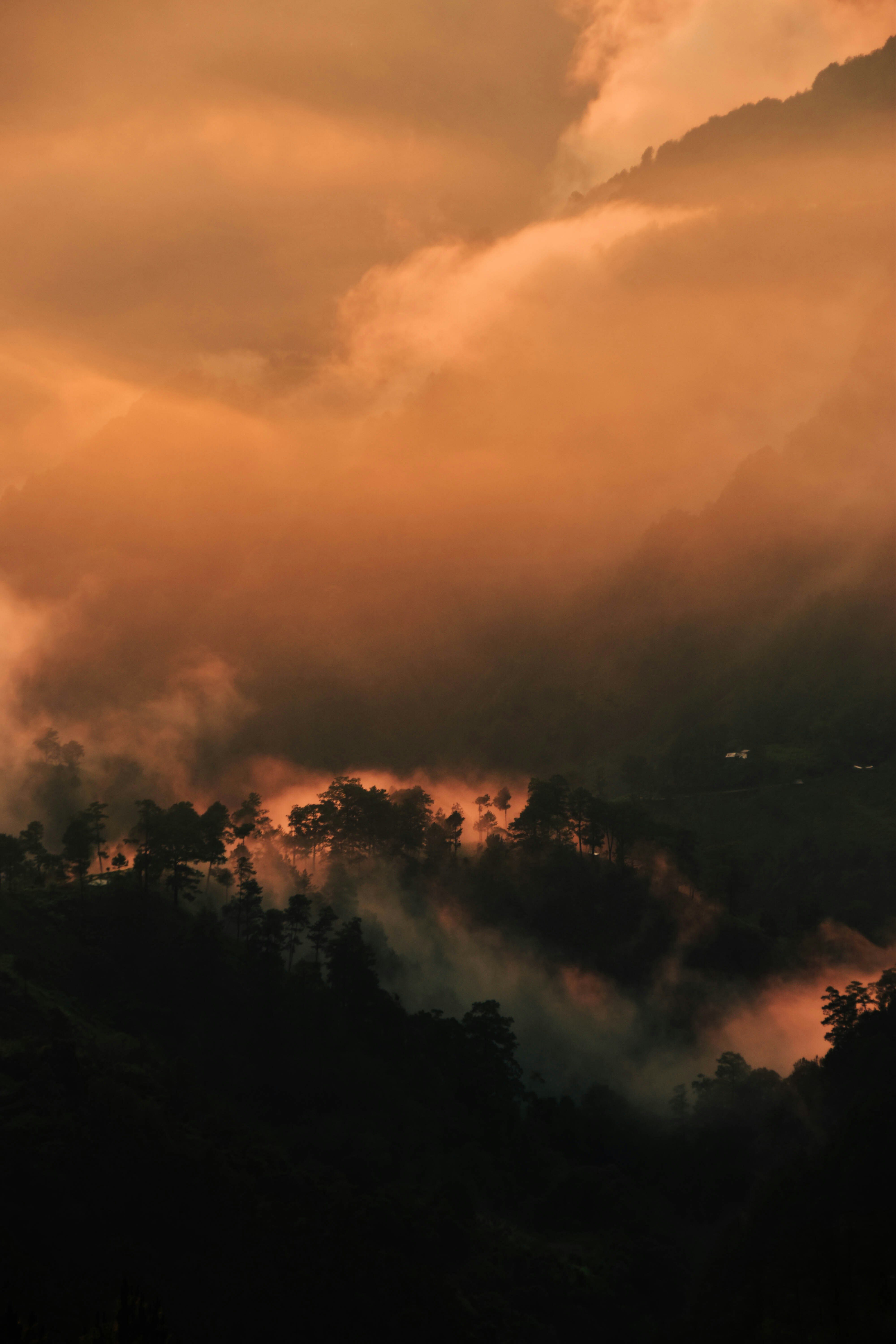 바기오 근교의 숲과 구름 풍경