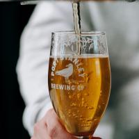 필리핀 수제 맥주 씬 완벽 정리 | Manila Craft Beer Guide