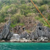 엘니도 아일랜드 호핑 완벽 가이드 — 투어 A·B·C·D 코스, 요금(ETDF 400페소), 가는 법, 2026년 최신판